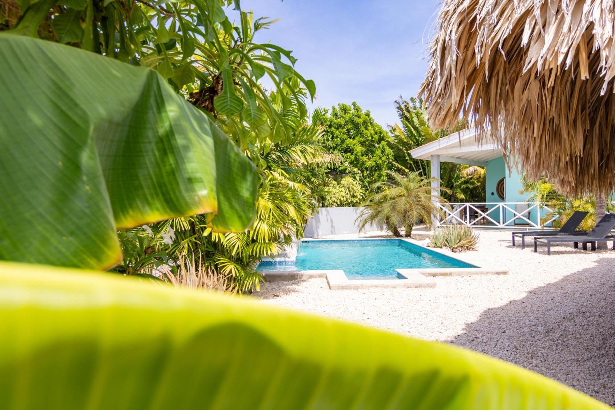 Paradise Apartments - Curacao Fontein Eksteriør billede